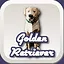 Golden Retriever icon