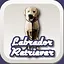 Lebrador Retreiver icon