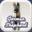Sheperd icon