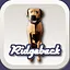 Ridgeback icon