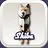 Shiba