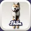 Shiba icon