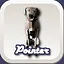 Pointer icon