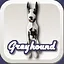Greyhound icon