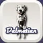 Dalmasian icon