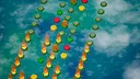Hex Love Screenshot 2