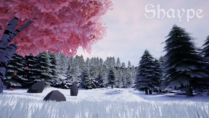 Shaype Demo Screenshot 5