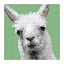 Toasty icon
