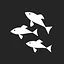 Fish Master icon