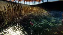 Bottle Can Float Screenshot 5