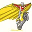Phenomenon of motorbikes icon