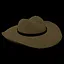 Purchased an accessory icon