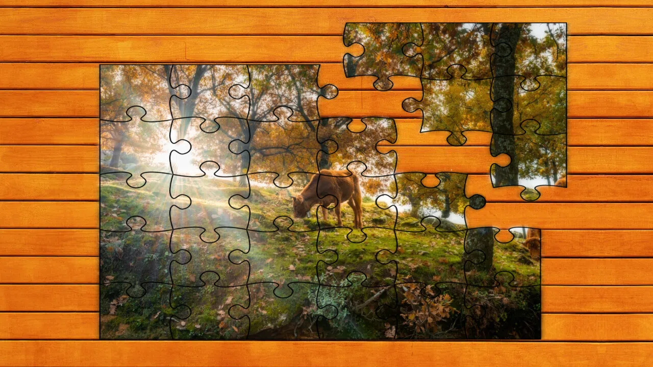 Golden Leaf Jigsaw Puzzles Screenshot 7
