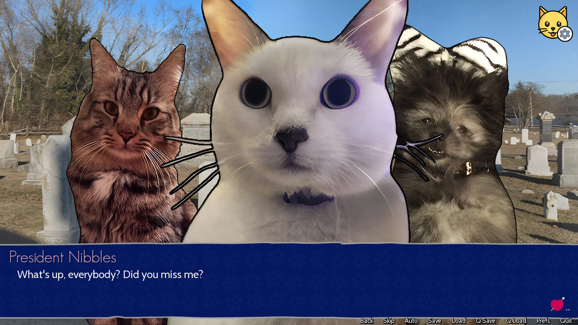 Cat President: 3rd-Rate Candidate Screenshot 4