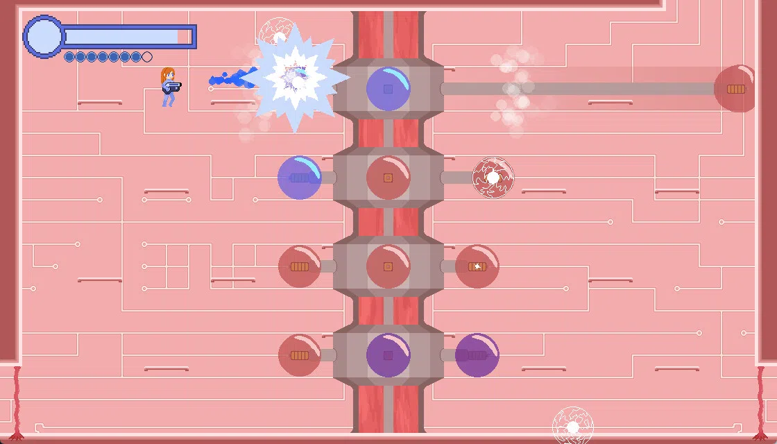 Soakraiva Screenshot 2