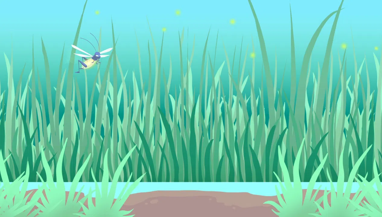 Play With Your Cat! - A Virtual Toy Box Screenshot 4