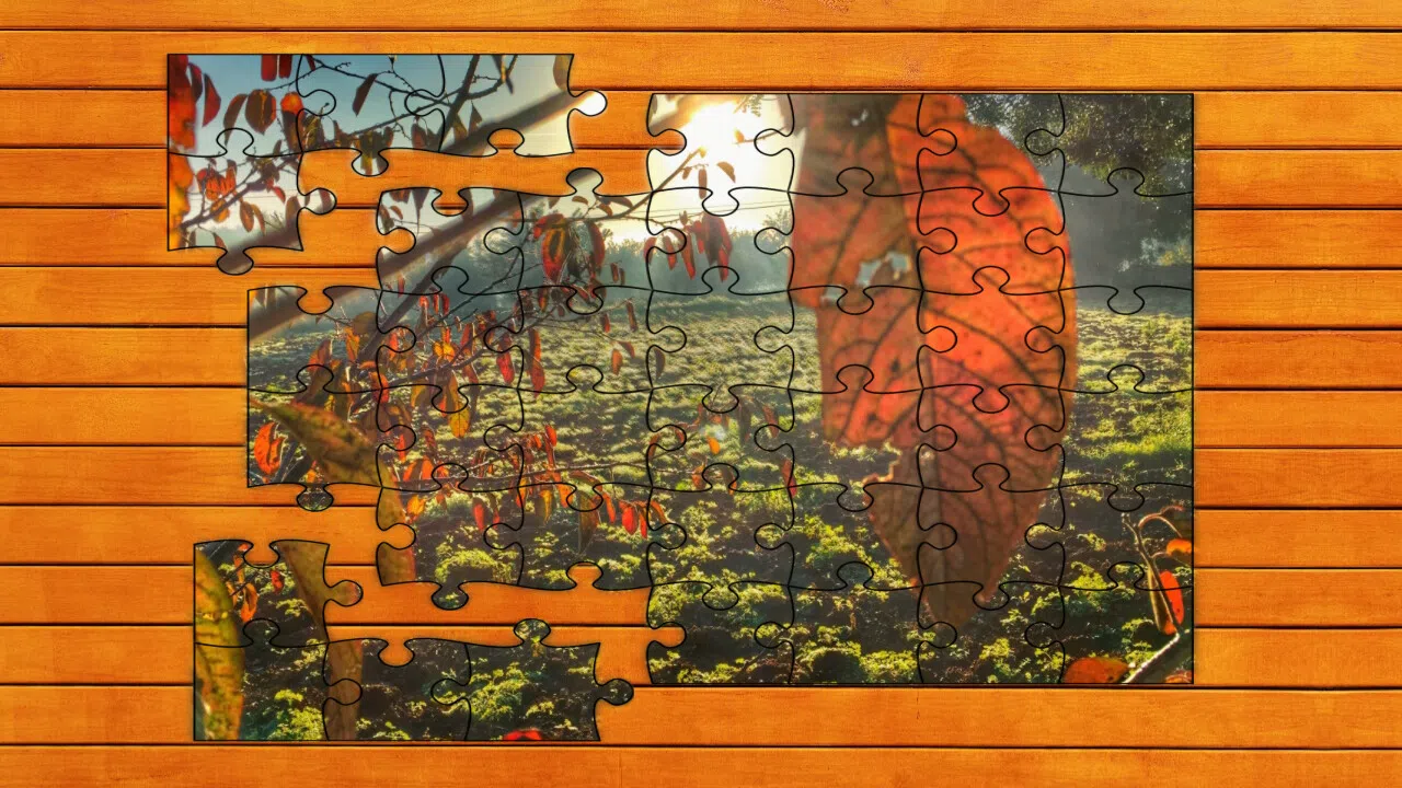 Golden Leaf Jigsaw Puzzles - Expansion Pack 3 Screenshot 3