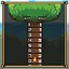 Burning the Midnight Tree icon