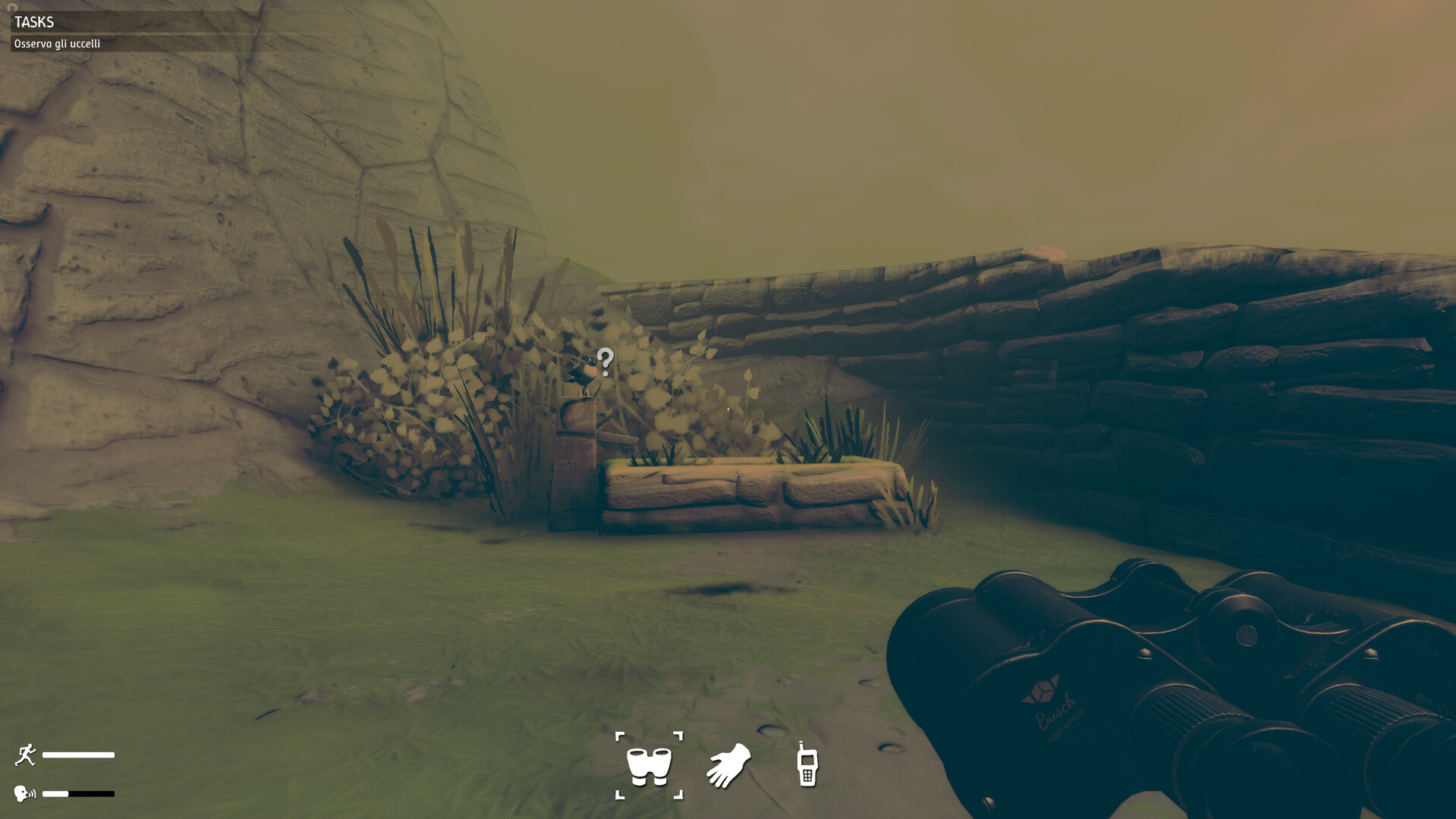 Birds Watching Screenshot 4