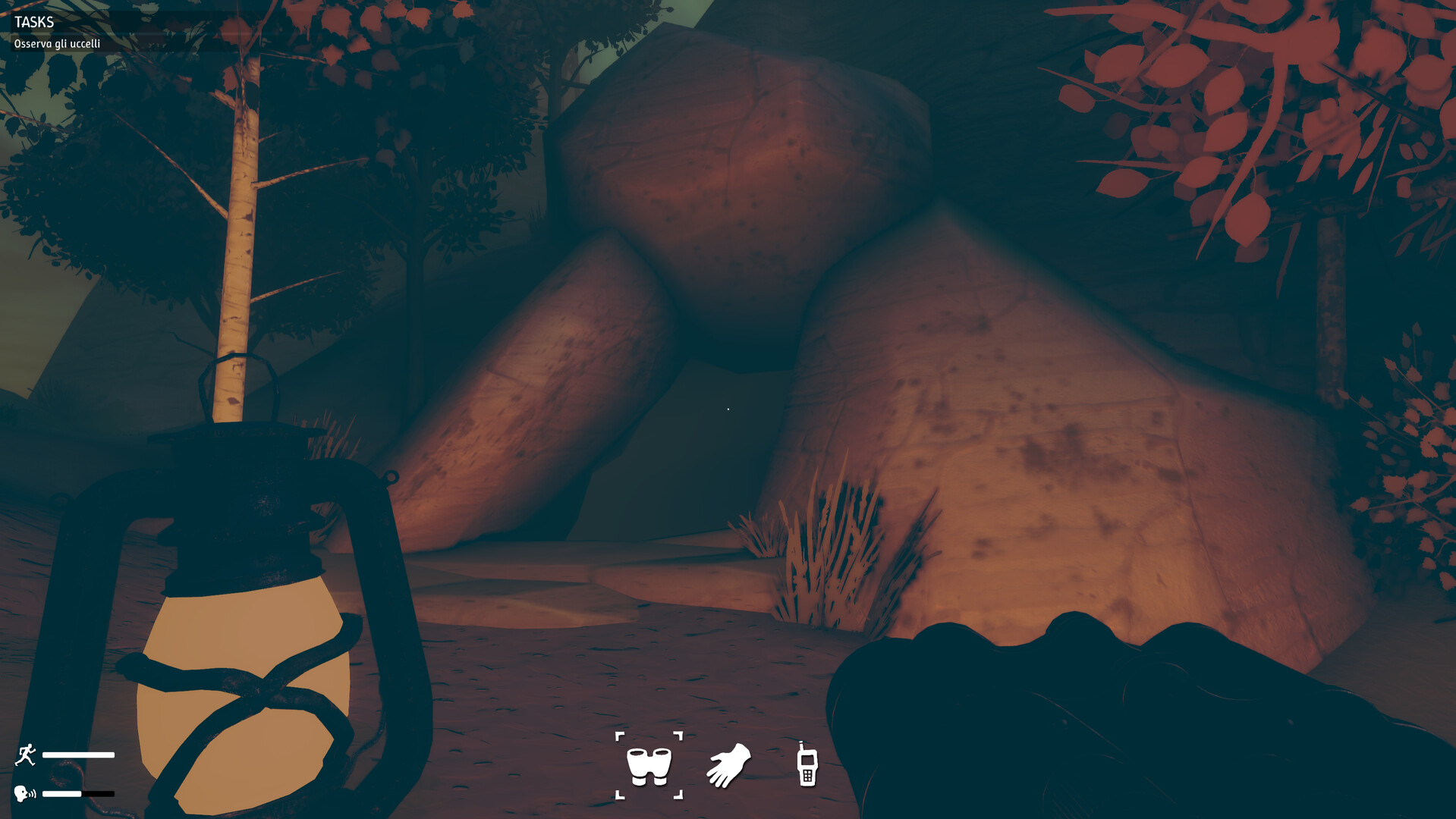 Birds Watching Screenshot 3