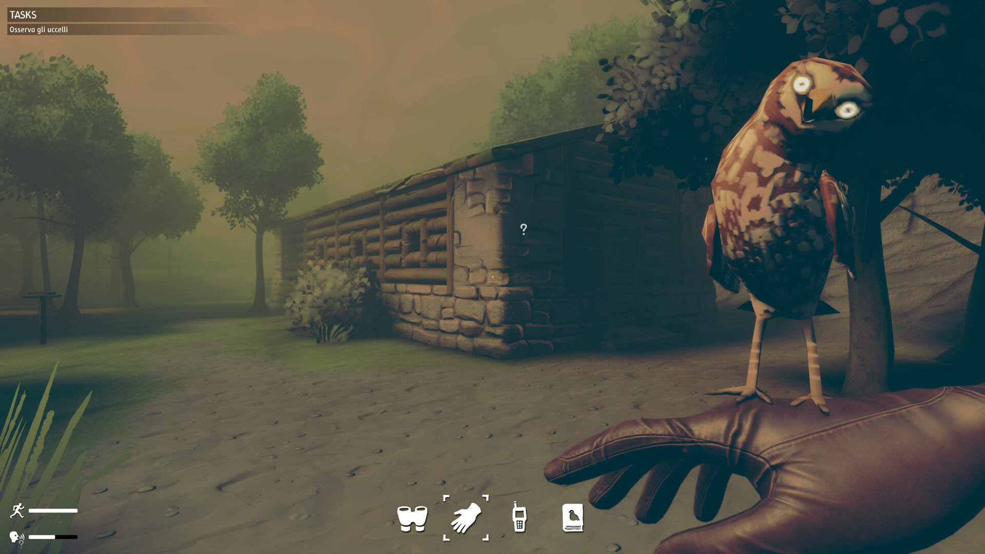 Birds Watching Screenshot 1