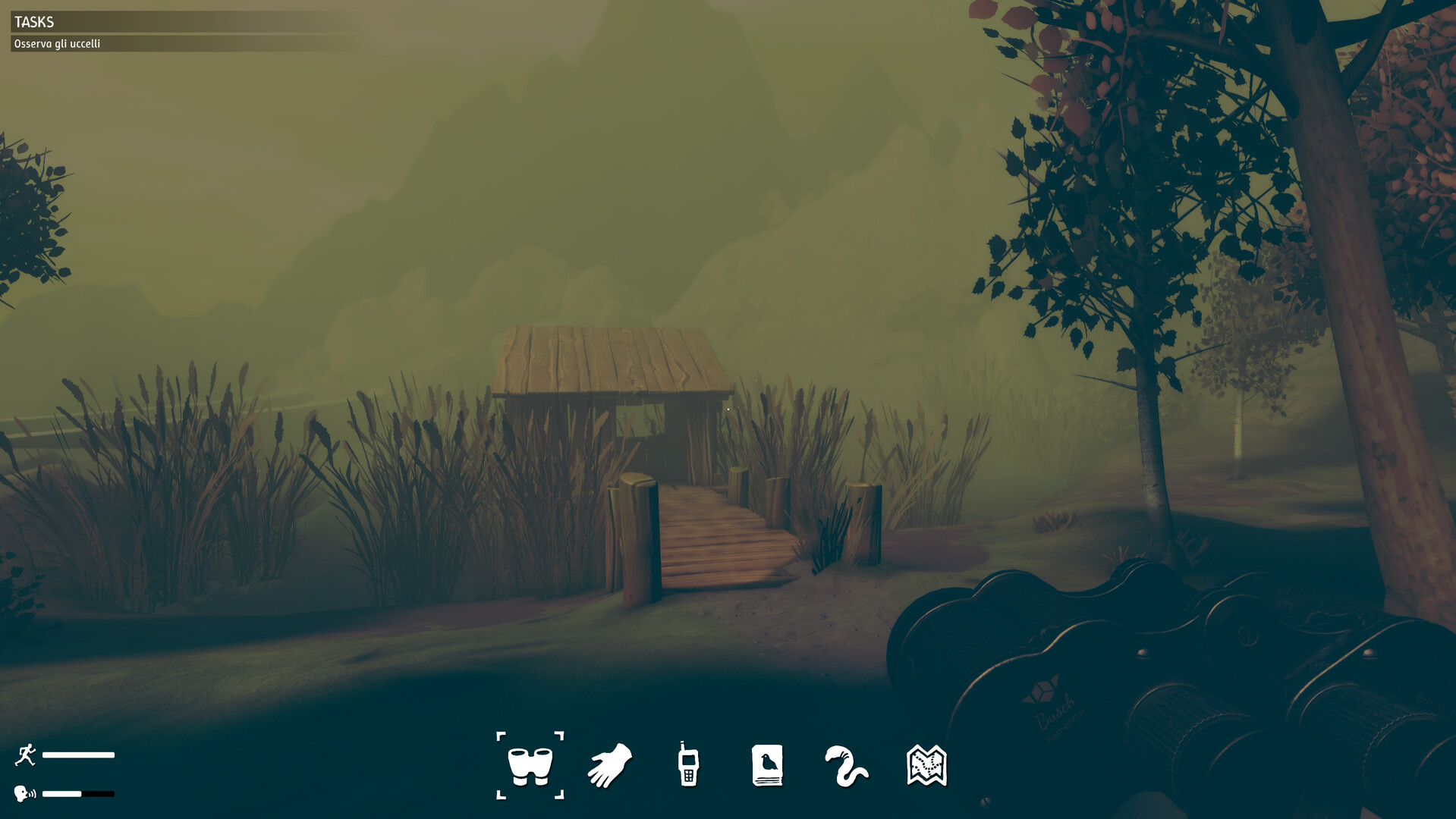 Birds Watching Screenshot 0