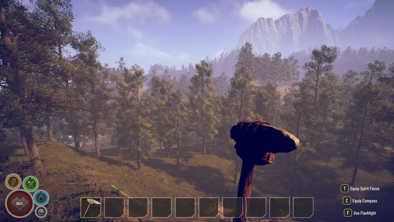 Solitude Screenshot 2