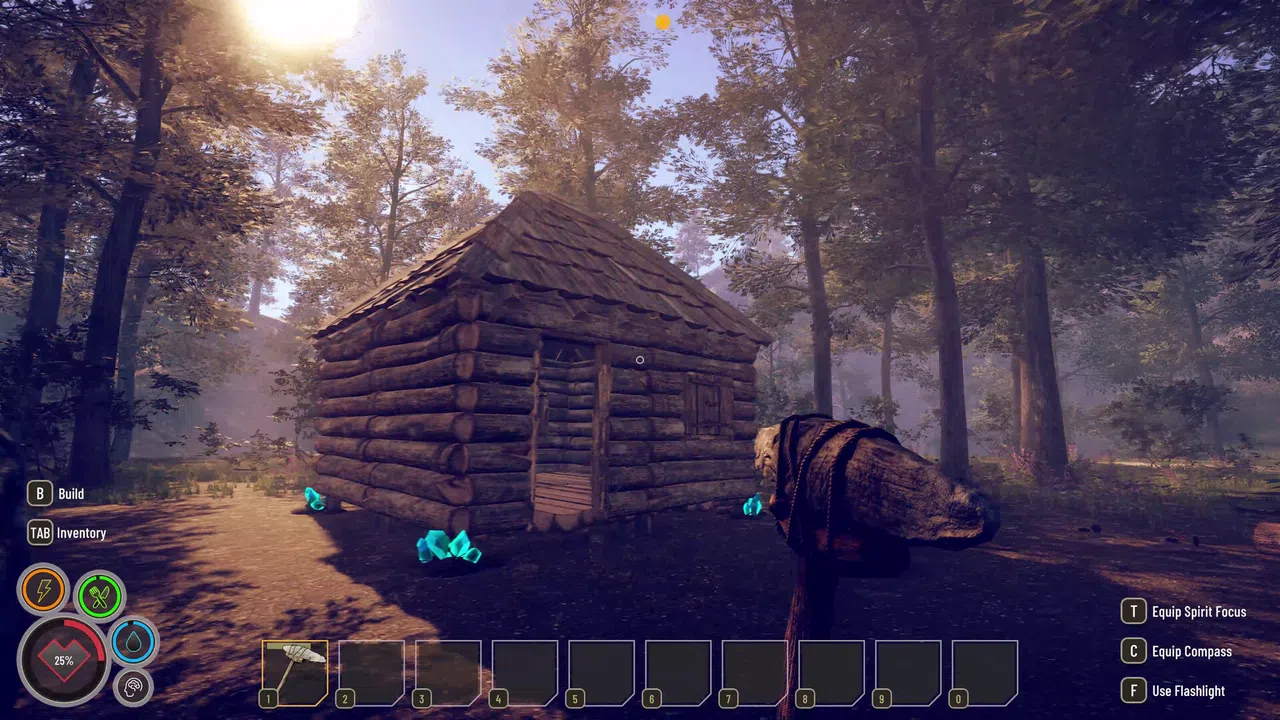 Solitude Screenshot 4
