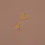 Secret key!. icon