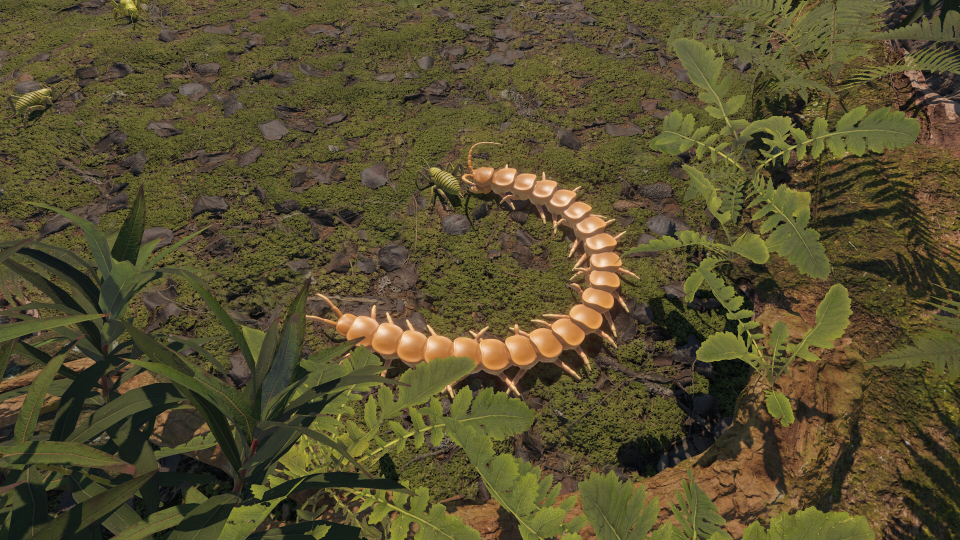 Centipede Simulator Screenshot 0