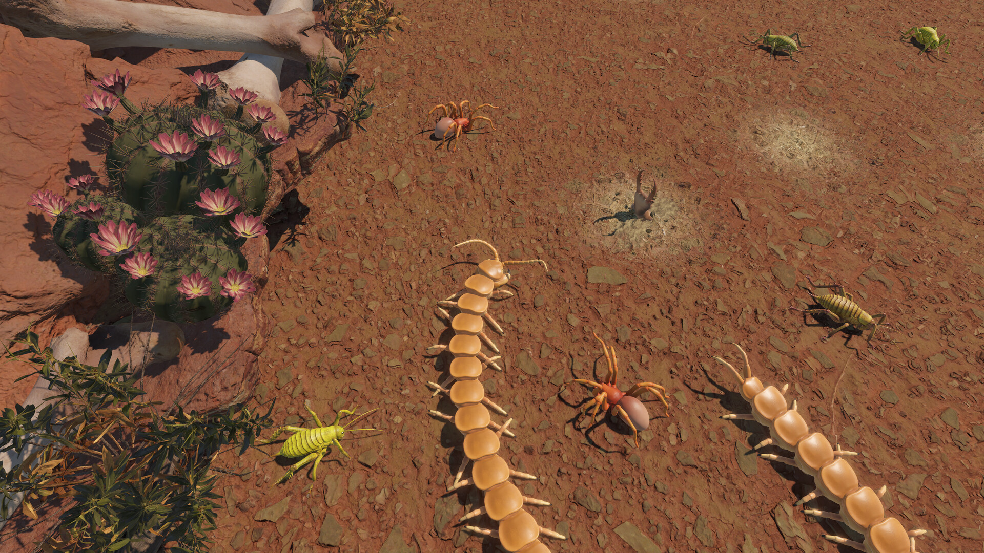 Centipede Simulator Screenshot 1