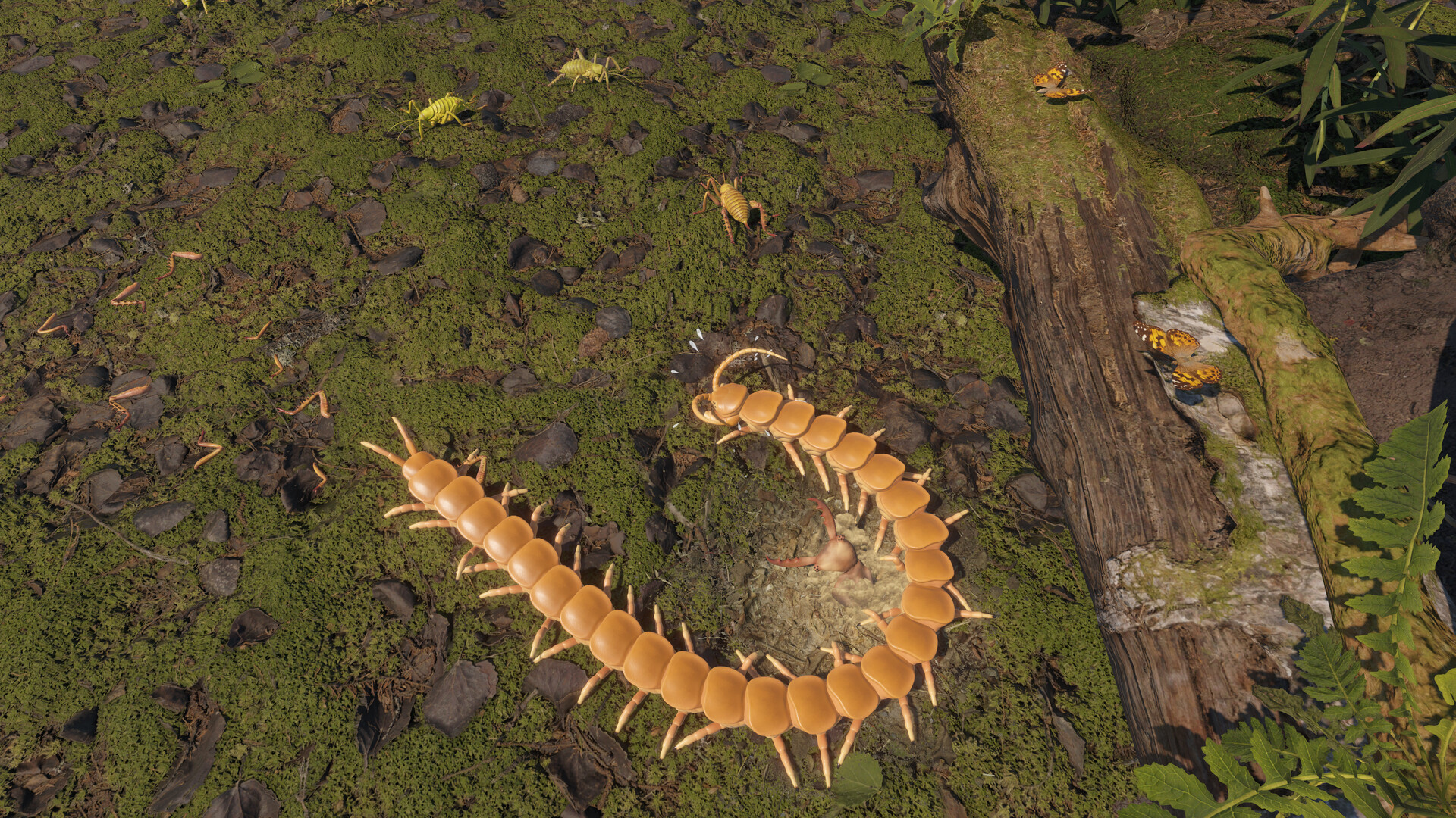 Centipede Simulator Screenshot 5