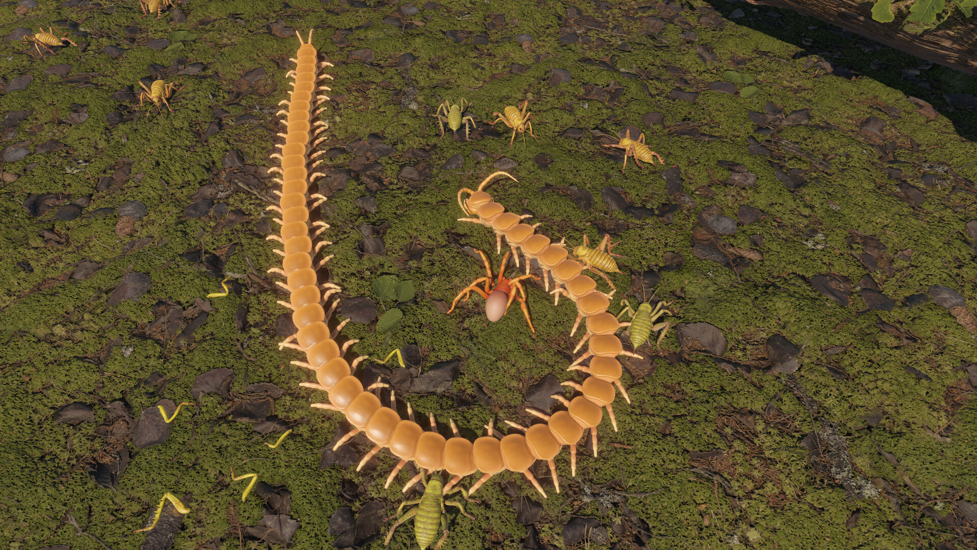 Centipede Simulator Screenshot 9