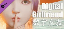 Digital Girlfriend - Expansion