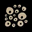 Arachnologist icon