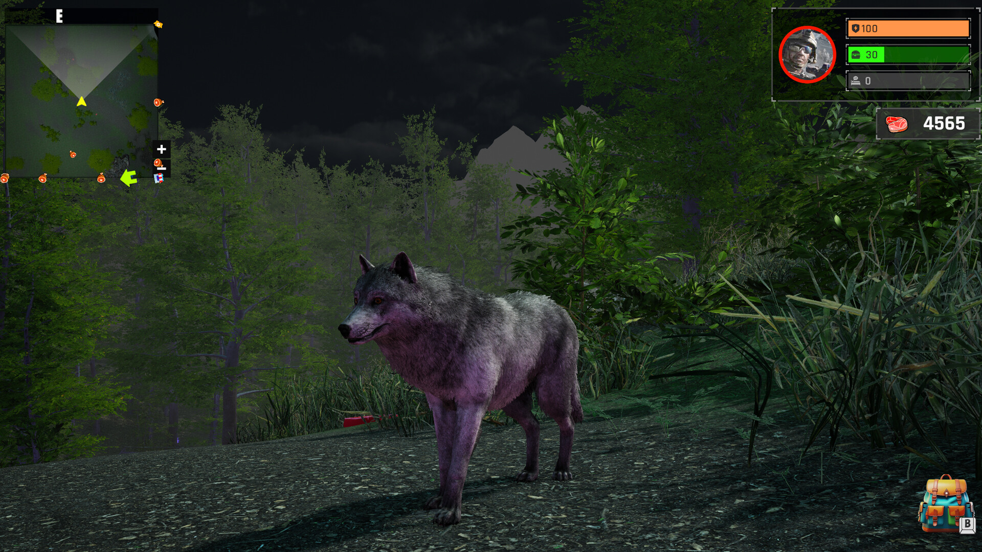 Wolf Simulator: Silent Paws Screenshot 2