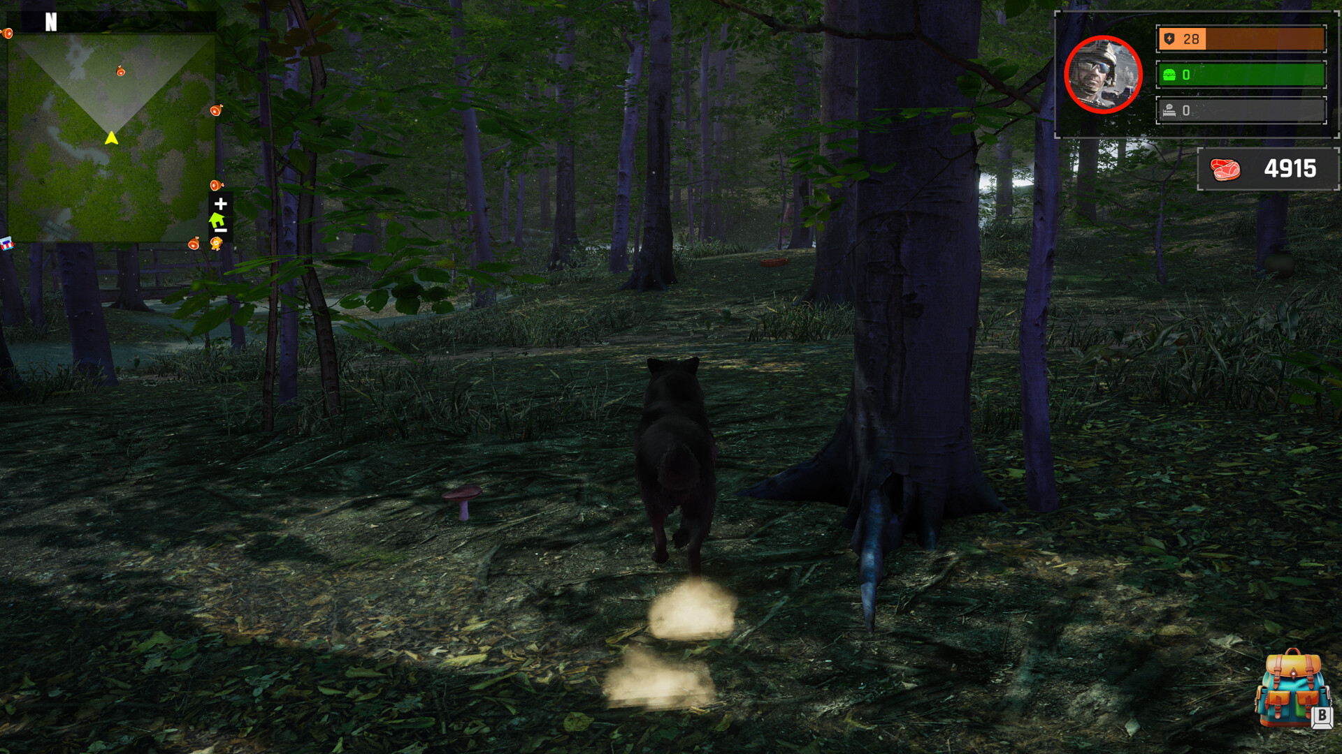 Wolf Simulator: Silent Paws Screenshot 6