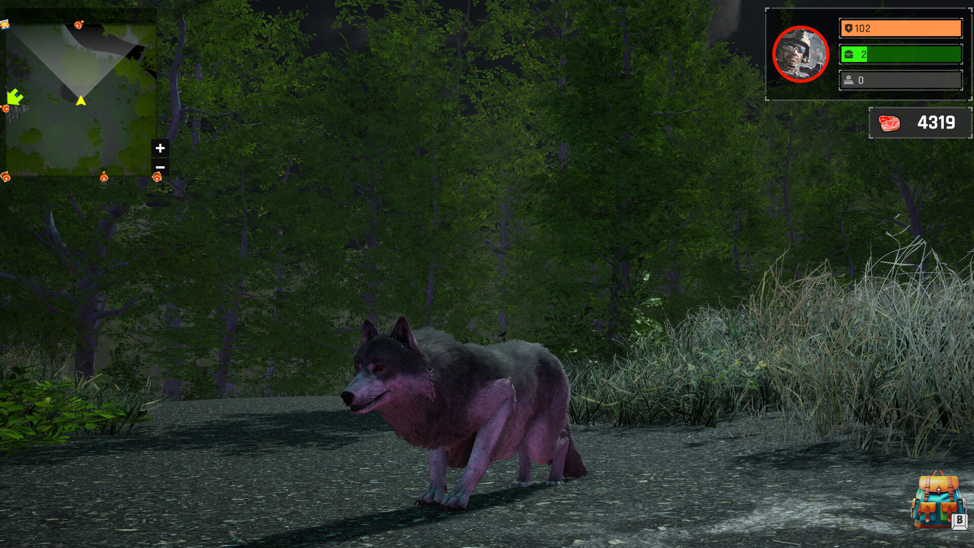Wolf Simulator: Silent Paws Screenshot 5