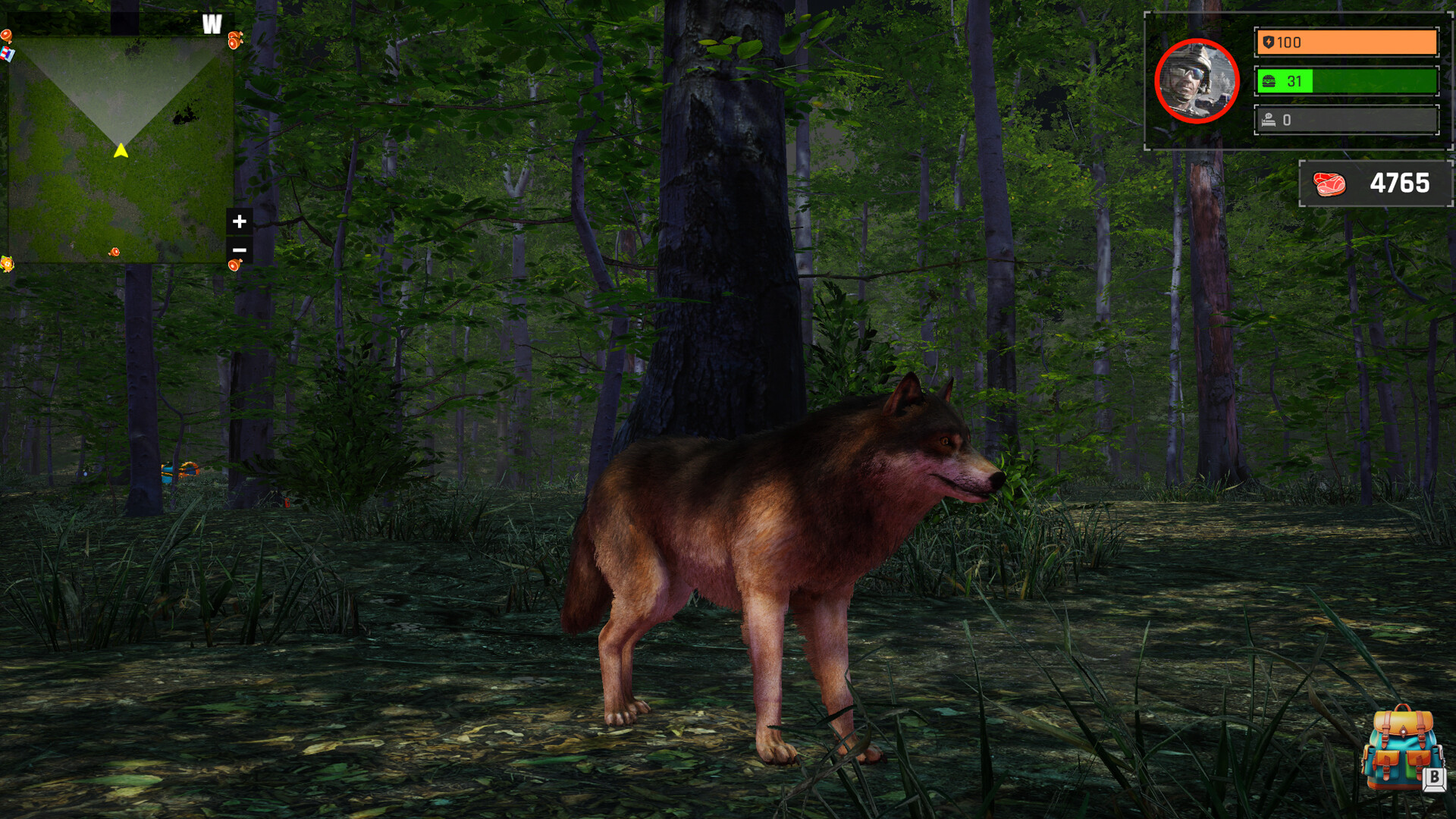 Wolf Simulator: Silent Paws Screenshot 3