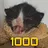 1000!...