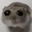 ГРУСТНЫЙ ХОМЯК icon