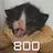 Ваши 800 тапаний принесли...