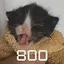 Ваши 800 тапаний принесли... icon
