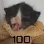 Кликмастер icon
