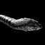 The Eel icon