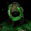 The Swamp Thing icon