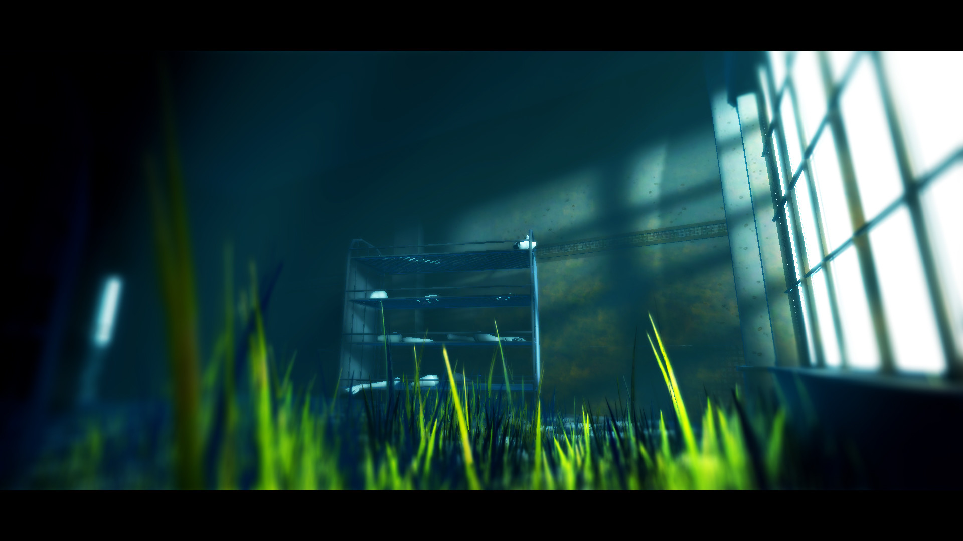 Acanthoceras Screenshot 0