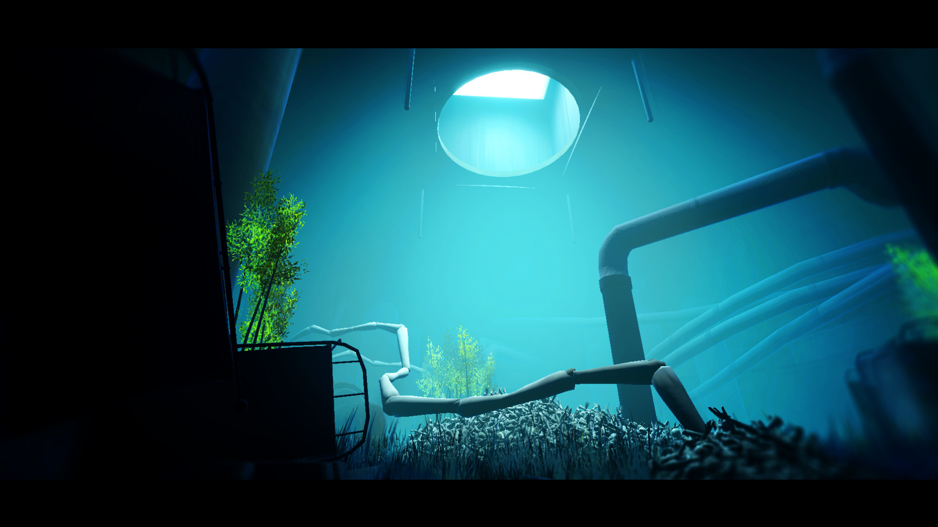 Acanthoceras Screenshot 3