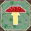 Natural selection icon