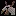 Dragon Hawk icon